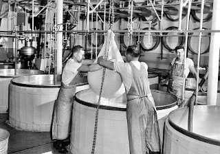 Northside Cheese factory. Fritz and Art Escher lifting the cheese curd from the vat while Walter Etter relaxes.